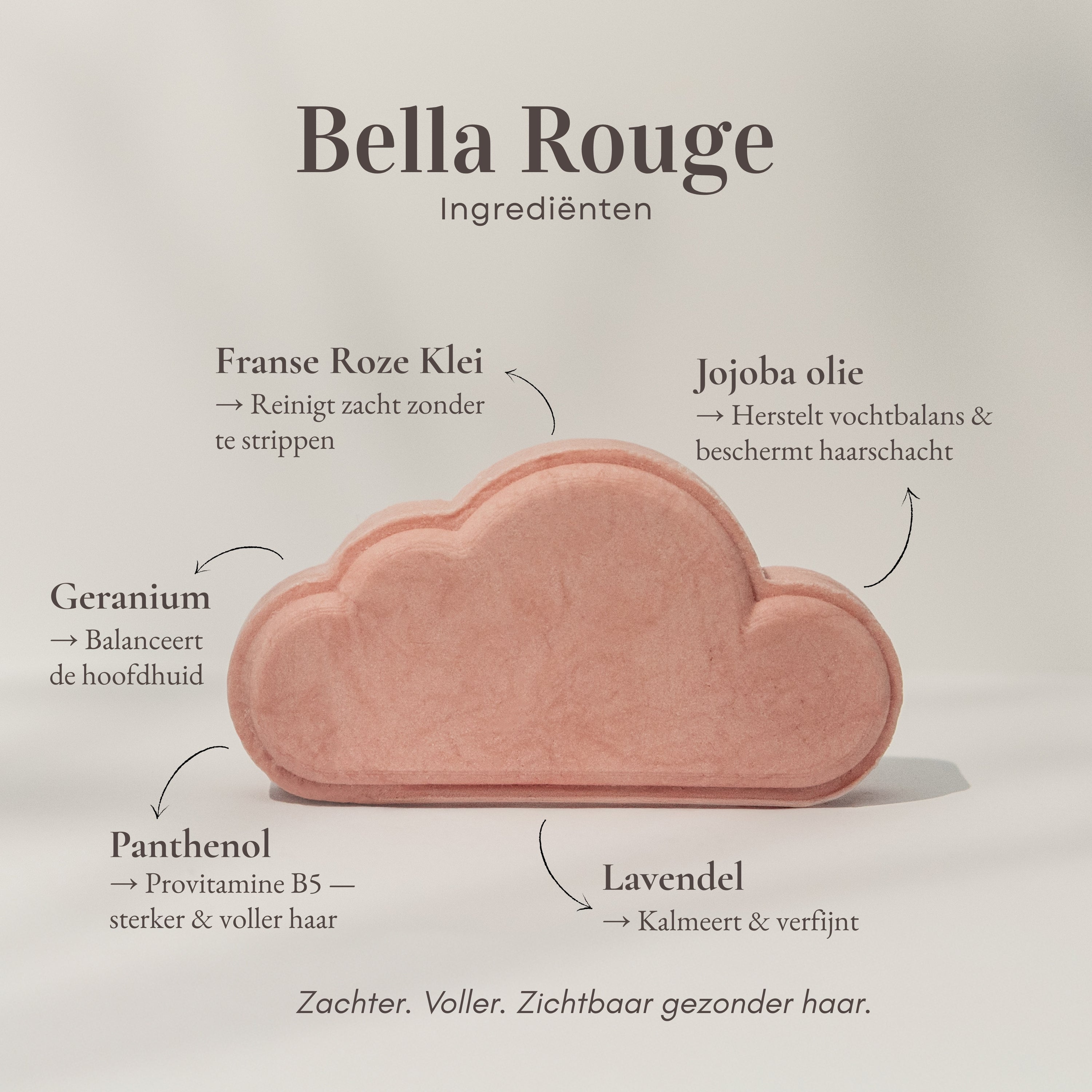 Bella Rouge ·  All Hair Types Shampoo Bar