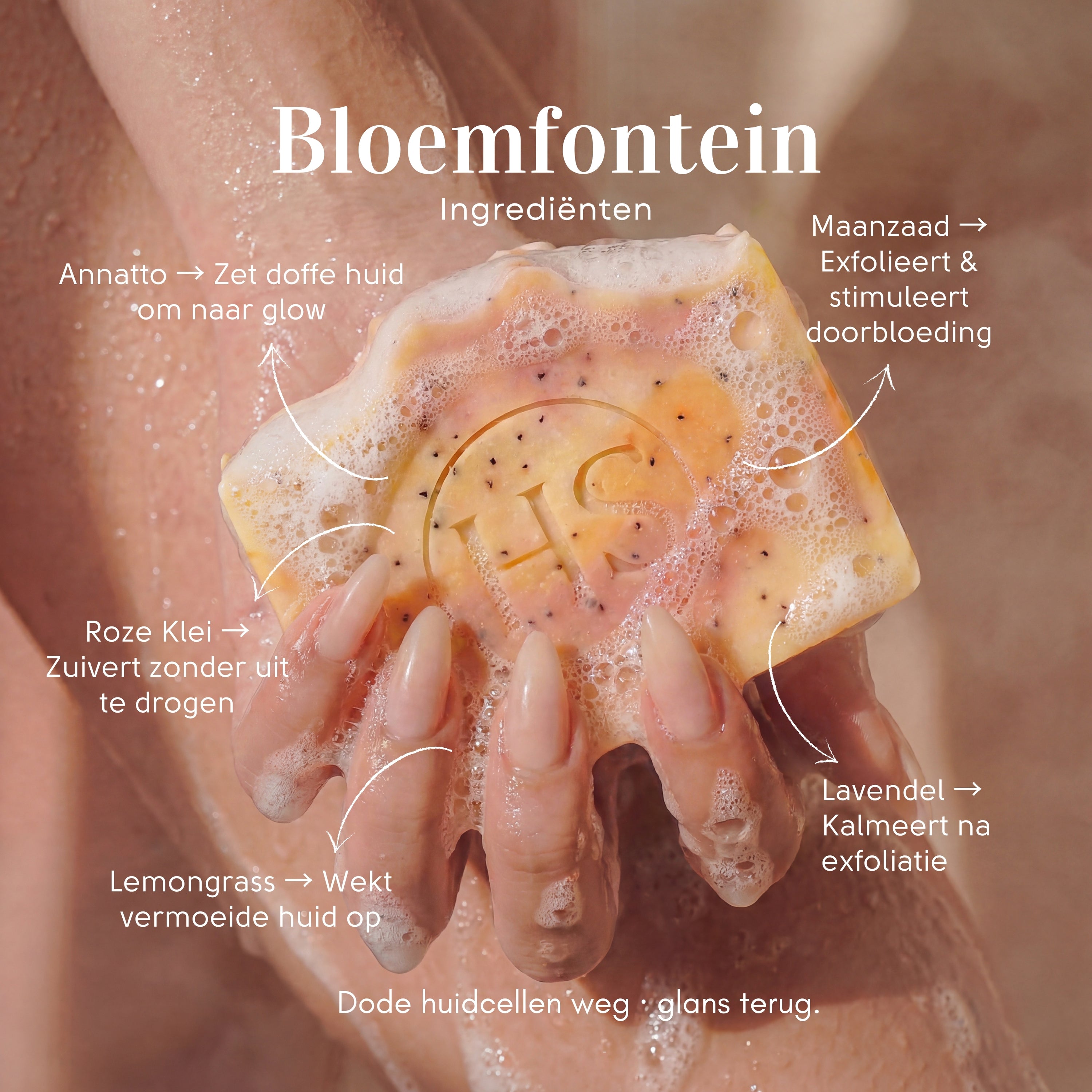 Bloemfontein Scrub