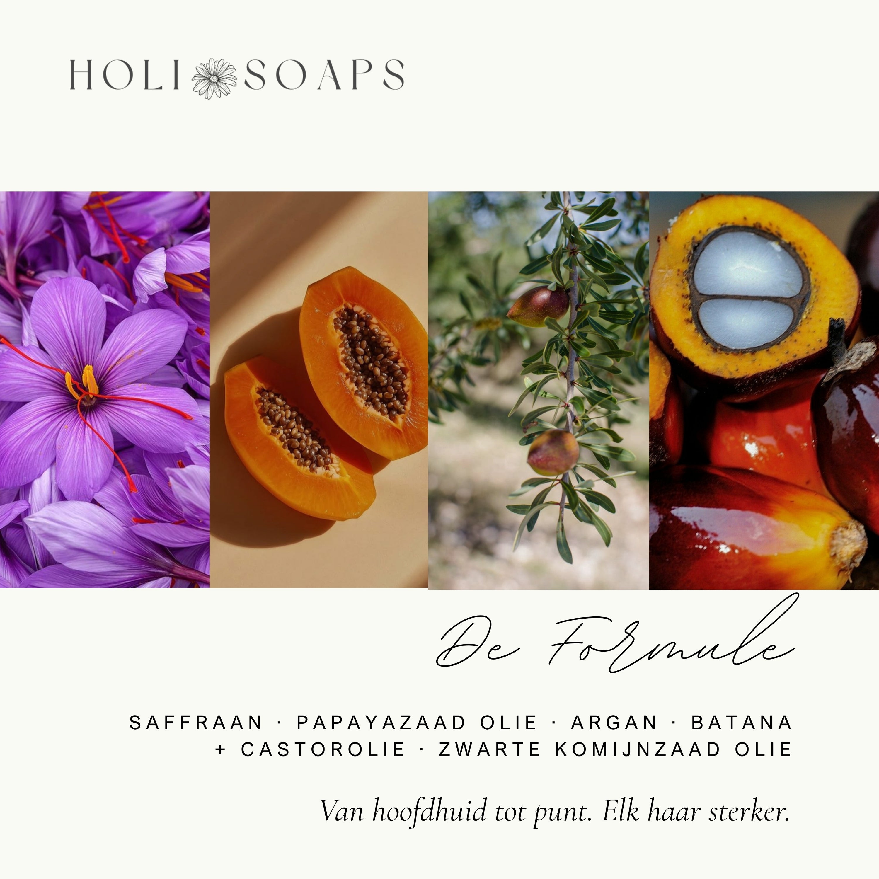 Holi Hair Elixer — 50ml