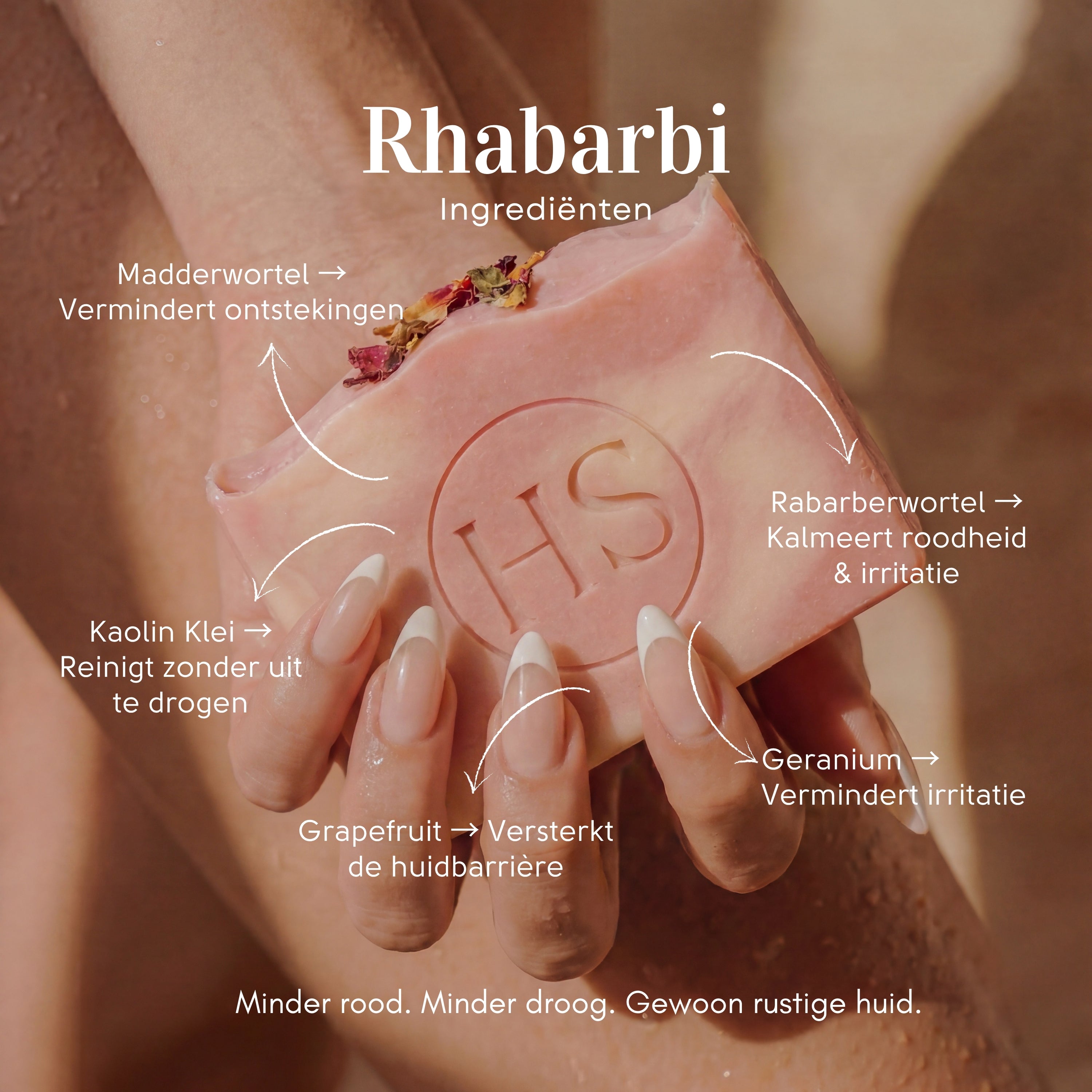 Rhabarbi